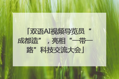双语AI视频导览员“成都造”，亮相“一带一路”科技交流大会