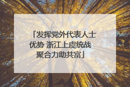 发挥党外代表人士优势 浙江上虞统战聚合力助共富