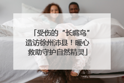 受伤的“长嘴鸟”造访徐州沛县！暖心救助守护自然精灵