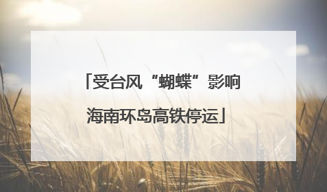 受台风“蝴蝶”影响 海南环岛高铁停运
