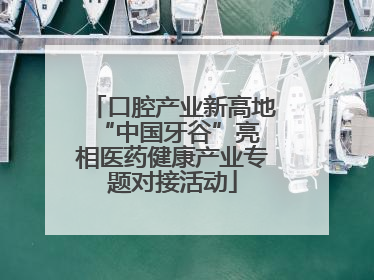 口腔产业新高地 “中国牙谷”亮相医药健康产业专题对接活动