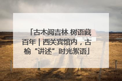 古木阅吉林 树语藏百年｜西关宾馆内，古榆“讲述”时光絮语