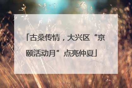 古桑传情，大兴区“京颐活动月”点亮仲夏