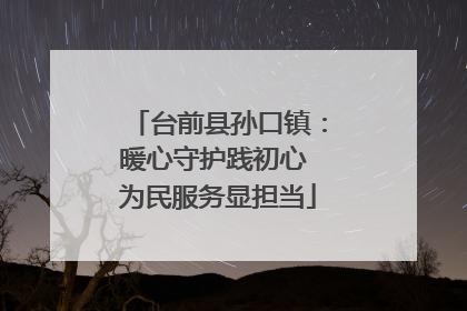 台前县孙口镇：暖心守护践初心 为民服务显担当