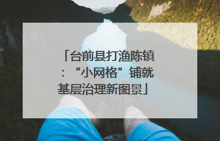 台前县打渔陈镇：“小网格”铺就基层治理新图景