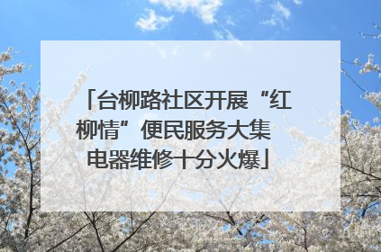 台柳路社区开展“红柳情”便民服务大集 电器维修十分火爆