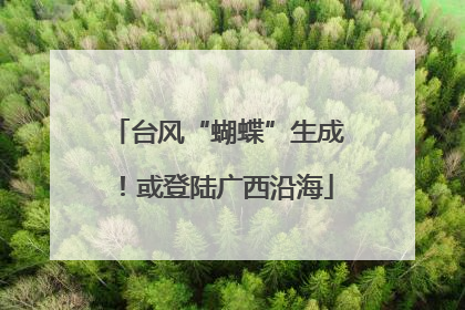 台风“蝴蝶”生成！或登陆广西沿海