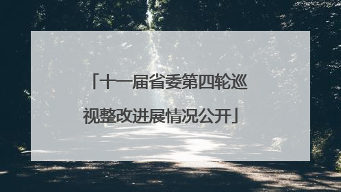 十一届省委第四轮巡视整改进展情况公开