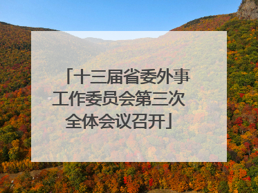 十三届省委外事工作委员会第三次全体会议召开