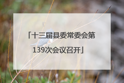 十三届县委常委会第139次会议召开
