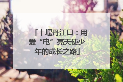 十堰丹江口：用爱“电”亮天使少年的成长之路