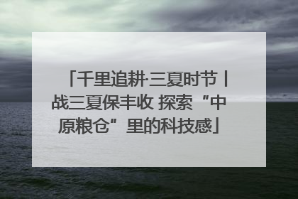 千里追耕·三夏时节丨战三夏保丰收 探索“中原粮仓”里的科技感