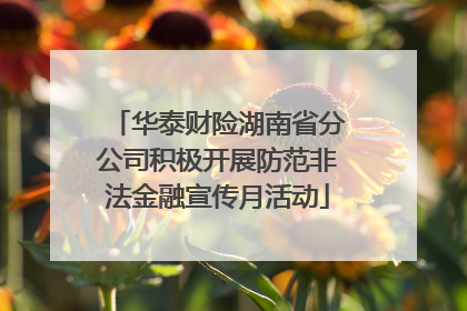华泰财险湖南省分公司积极开展防范非法金融宣传月活动