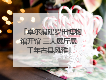 卓尔捐建罗田博物馆开馆 三大展厅展千年古县风雅