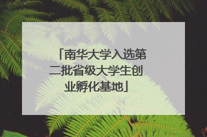 南华大学入选第二批省级大学生创业孵化基地