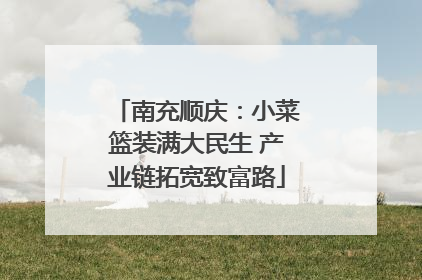 南充顺庆：小菜篮装满大民生 产业链拓宽致富路