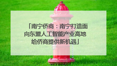 南宁侨商：南宁打造面向东盟人工智能产业高地给侨商提供新机遇