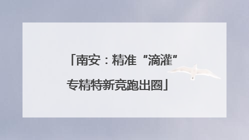 南安：精准“滴灌”专精特新竞跑出圈