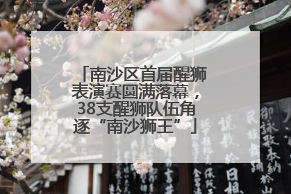 南沙区首届醒狮表演赛圆满落幕，38支醒狮队伍角逐“南沙狮王”