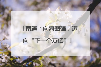南通:向海图强,迈向“下一个万亿”