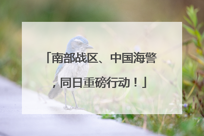 南部战区、中国海警，同日重磅行动！