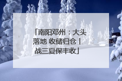 南阳邓州：大头落地 收储归仓丨战三夏保丰收