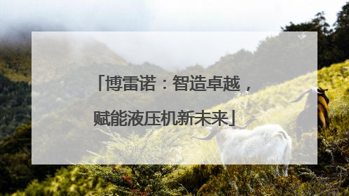 博雷诺：智造卓越，赋能液压机新未来
