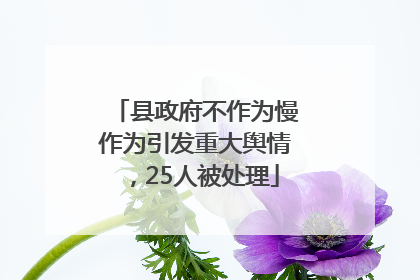 县政府不作为慢作为引发重大舆情，25人被处理