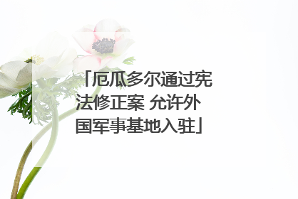 厄瓜多尔通过宪法修正案 允许外国军事基地入驻