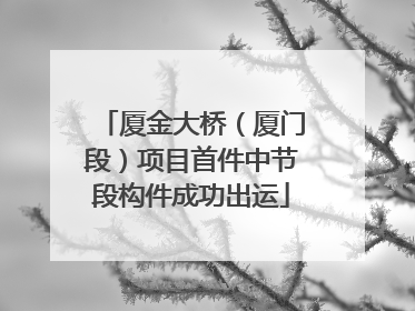 厦金大桥（厦门段）项目首件中节段构件成功出运