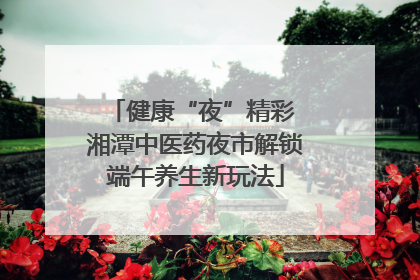 健康“夜”精彩 湘潭中医药夜市解锁端午养生新玩法