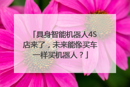 具身智能机器人4S店来了，未来能像买车一样买机器人？