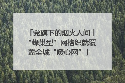 党旗下的烟火人间丨“蜂巢型”网格织就覆盖全城“暖心网”