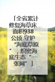 全省累计修复海草床面积938公顷 守护“海底草原”，织密海底生态“一张网”