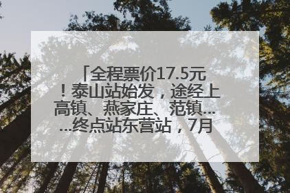全程票价17.5元！泰山站始发，途经上高镇、燕家庄、范镇……终点站东营站，7月1日开通！