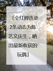 全红婵连更2条动态为陈艺文庆生，晒出最新收获的玩偶