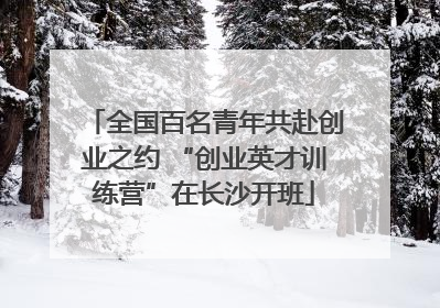 全国百名青年共赴创业之约 “创业英才训练营”在长沙开班