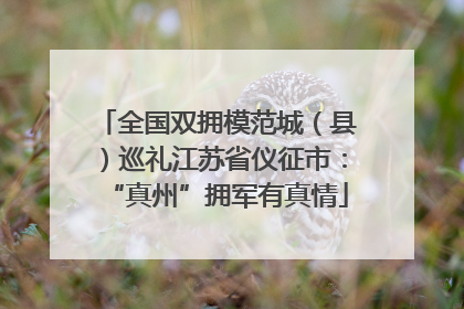 全国双拥模范城（县）巡礼江苏省仪征市：“真州”拥军有真情