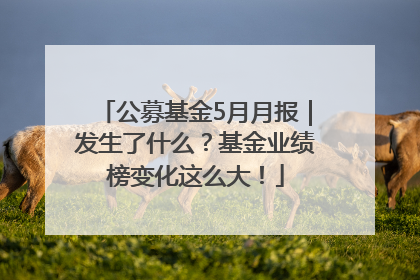 公募基金5月月报｜发生了什么？基金业绩榜变化这么大！