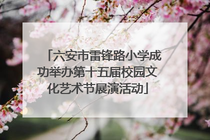 六安市雷锋路小学成功举办第十五届校园文化艺术节展演活动