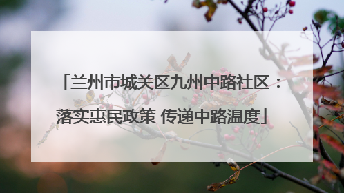 兰州市城关区九州中路社区：落实惠民政策 传递中路温度
