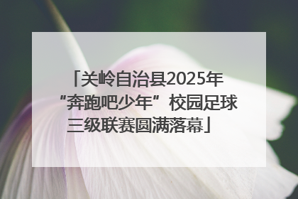 关岭自治县2025年“奔跑吧少年”校园足球三级联赛圆满落幕