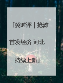 冀时评｜抢滩首发经济 河北持续上新