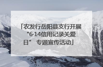 农发行岳阳县支行开展“6·14信用记录关爱日” 专题宣传活动