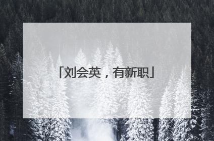 刘会英，有新职