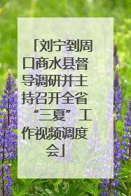 刘宁到周口商水县督导调研并主持召开全省“三夏”工作视频调度会