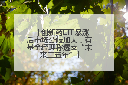 创新药ETF暴涨后市场分歧加大，有基金经理称透支“未来三五年”