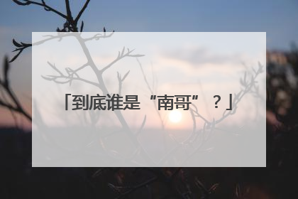 到底谁是“南哥”？