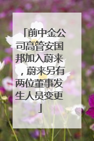 前中金公司高管安国邦加入蔚来，蔚来另有两位董事发生人员变更
