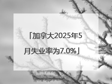 加拿大2025年5月失业率为7.0%